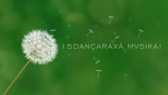 dancaraxa2015-11371010-1224814.jpeg