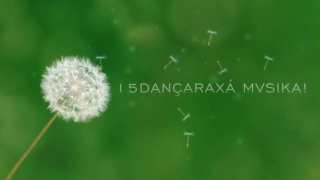 dancaraxa2015-11371010.jpeg